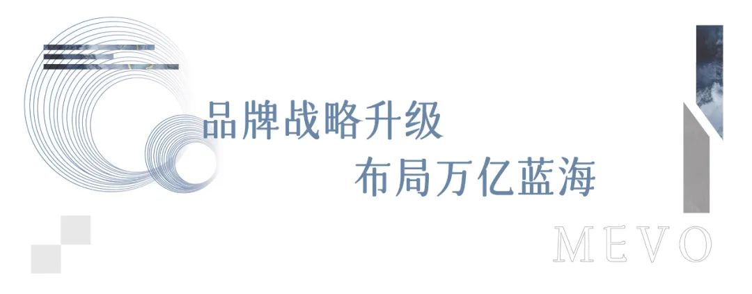 品牌戰(zhàn)略升級
